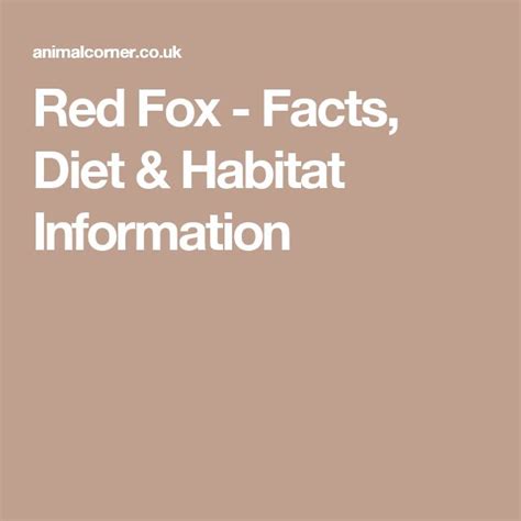 Red Fox Facts Diet And Habitat Information Red Fox Facts Fox Facts
