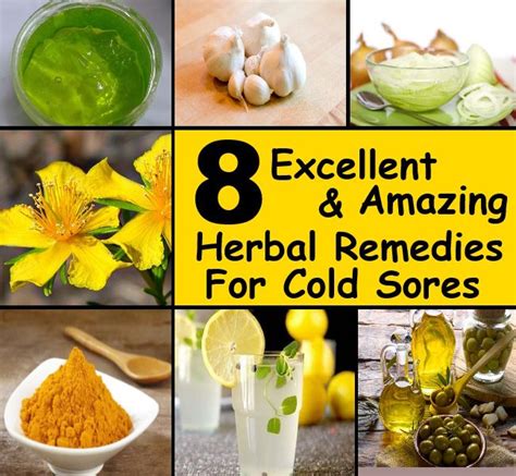 8 Excellent And Amazing Herbal Remedies For Cold Sores Herbal