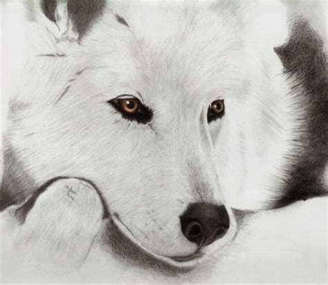 Wallpaper Drawing White Wolf 1150x1003 Goodfon 1320651 Hd