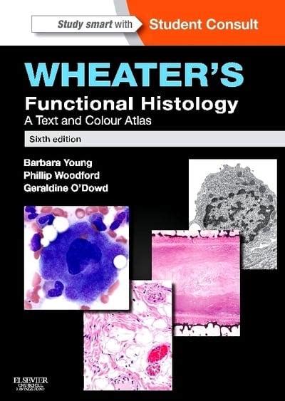 Wheaters Functional Histology Barbara Young Author