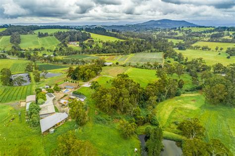 Australian Countryside On Overcast Day Aerial View Photo Pathway