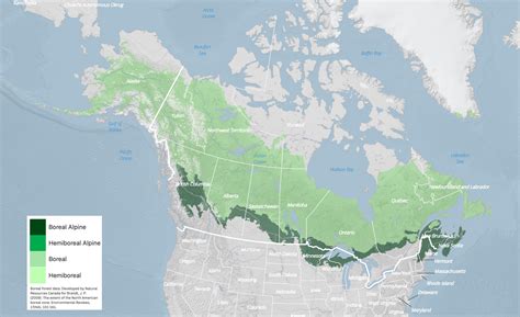 Boreal Forests Of North America Are Shrinking Geography Realm