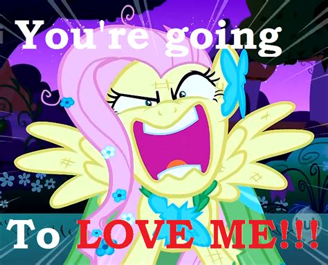 Youre Going To Love Fluttershy Xd My Little Pony Friendship Is