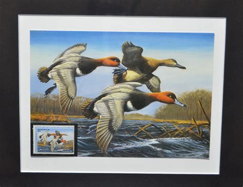 Vintage Federal Duck Stamp And Print Federal Duck Stamp Etsy