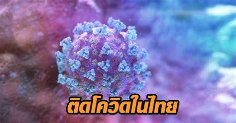 รายงานสถานการณ์ โควิด วันนี้ (24 มี.ค. วันนี้ไทยพบผู้ป่วยโควิดใหม่ 16 ราย ติดเชื้อในประเทศ 1 ราย