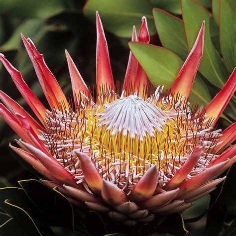 Check spelling or type a new query. World Heritage Sites South Africa | Exclusive Getaways