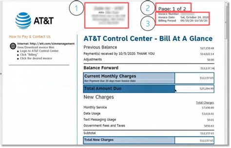 Billing Invoice Overview Example Invoices With Domestic Solutions