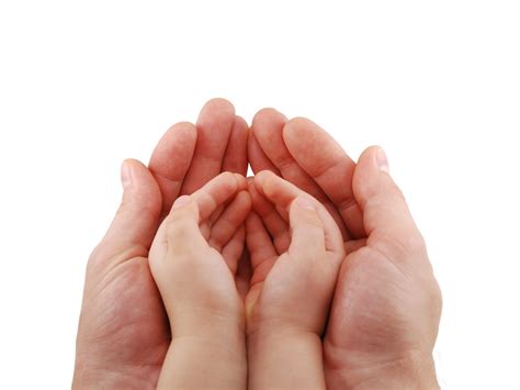 1024x768 Resolution Toddlers Hands And Adult Persons Hand Hd
