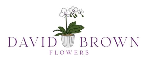 Home - Collab Design Co.