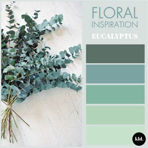 Floral Inspiration Eucalyptus Kingston Lafferty Design Interior