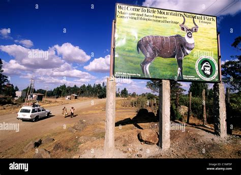 Ethiopia The Entrance Of The Bale Mountains National Park In The