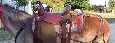 Does Your Saddle Really Fit Your Mule Queen Valley Mule Ranch