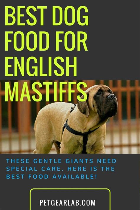 Royal canin dog food for english bulldogs we love that this dog food from royal canin is specifically designed for bulldogs. Best Dog Food For English Mastiff? Our Top Picks Reviewed ...