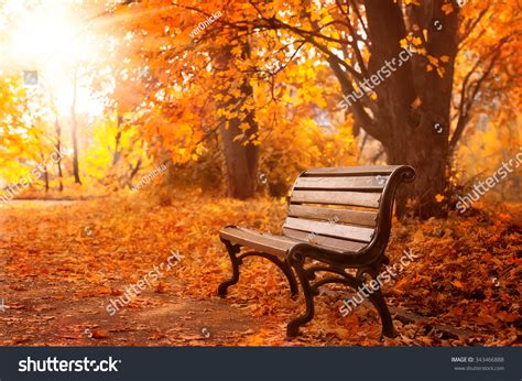 175467 Autumn Bench Images Stock Photos And Vectors Shutterstock
