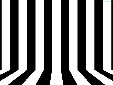 Black And White Stripes Wallpapers Top Nh Ng H Nh Nh P