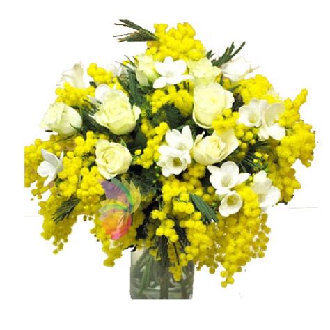 Donne | Spediamo fiori, dolci e regali a domicilio