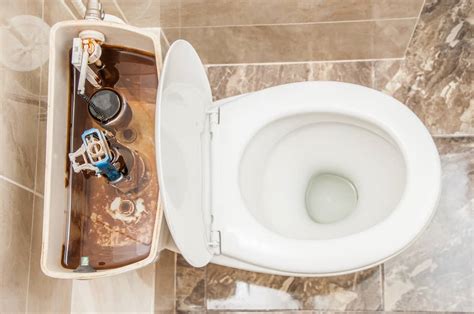 How To Stop An Overflowing Toilet Dos And Donts Ph