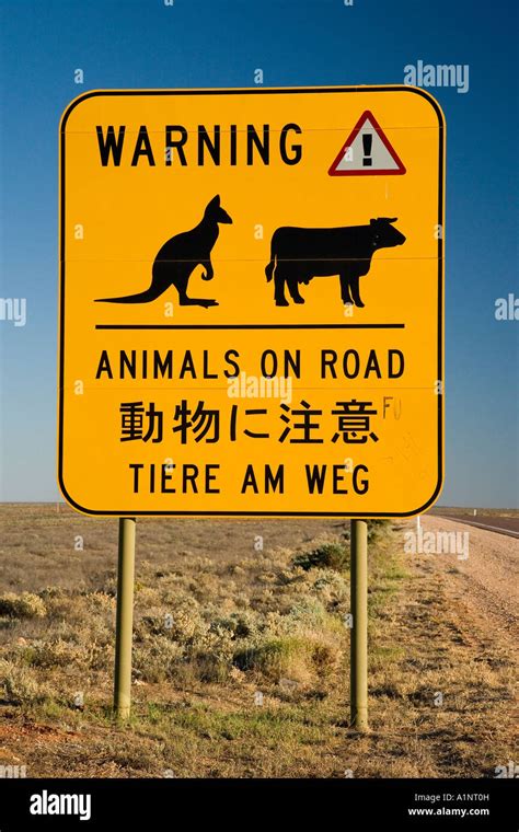 Animals On Road Warning Sign Stuart Highway Near Port Augusta Outback