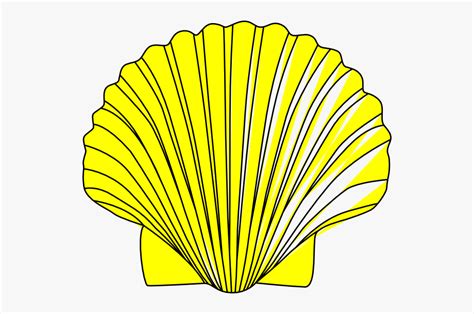 Shell Clip Art 10 Free Cliparts Download Images On Clipground 2024