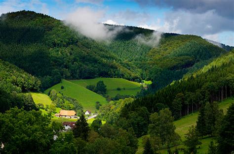 29400 The Black Forest Germany Stock Photos Pictures And Royalty Free