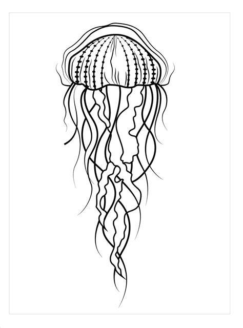 Medusa B Sica Para Colorear Imprimir E Dibujar Dibujos Colorear