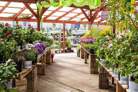 The Best Garden Centres And Nurseries In Kent