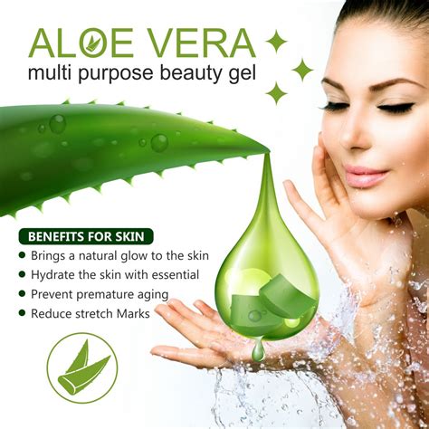 Kelebihan Aloe Vera Gel Pure Aloe Vera Gel Searching For The Best