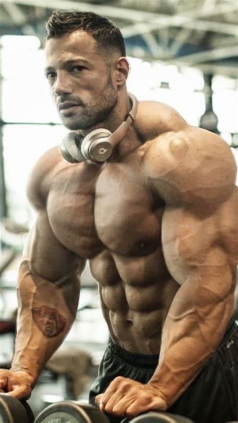 massive arms and bulging biceps body building men muscle men bodybuilders men