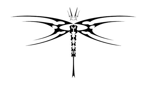 Dragonfly Tattoos Transparent Png All