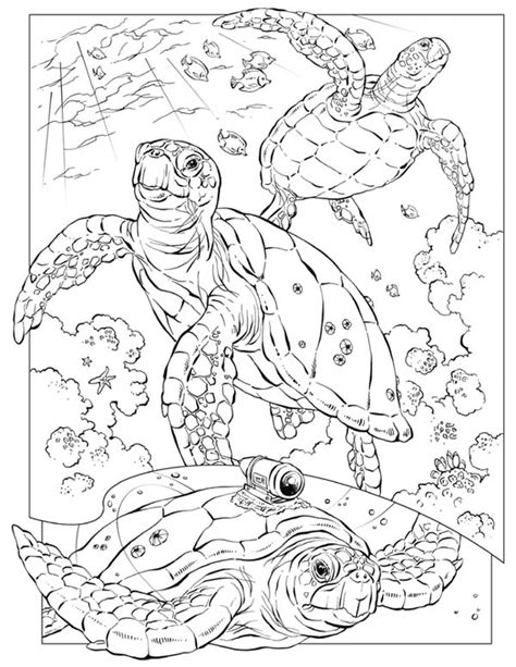 Get all animal color pages in the main gallery. Sea Turtle Documentary Crittercam Coloring Page - Download ...