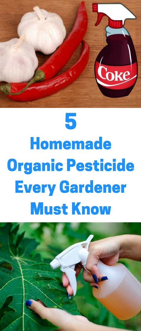 5 Homemade Organic Pesticide Every Gardener Must Know Gardening Tips