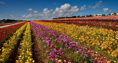 Ideal for your special valentine. Spring Break Things to Do and Events in San Diego, CA