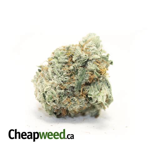Buy Green Crack Kush Online Cheap Weed
