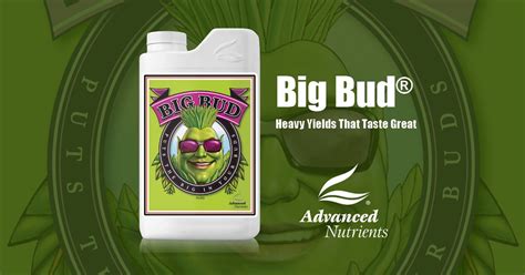 Big Bud® Advanced Nutrients Award Winning Bloom Booster
