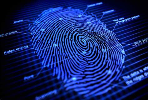 How Do Fingerprint Scanners Work Starlink India