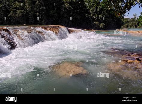 Agua Azul Waterfalls In Chiapas Mexico Stock Photo Alamy