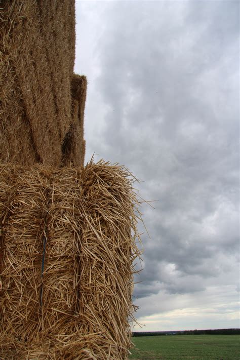 Large Square Hay Bales Free Stock Photo Public Domain Pictures