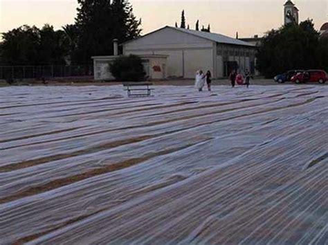 Longest Wedding Veil Guinness World Records By Maria Paraskeva Bride From Cyprus
