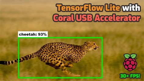 How To Use The Coral USB Accelerator With The Raspberry Pi Increase TensorFlow Lite FPS YouTube