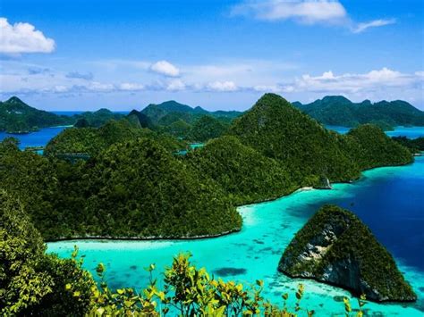 Kalimantan merupakan pulau terbesar kedua di indonesia dan menjadi pulau terbesar ketiga di dunia. 10 Pulau Terbesar di Indonesia Termasuk Wilayah Negara ...