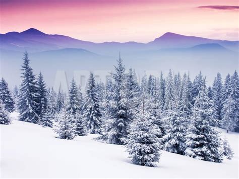 Fantastic Evening Winter Landscape Snow Sunset Christmas