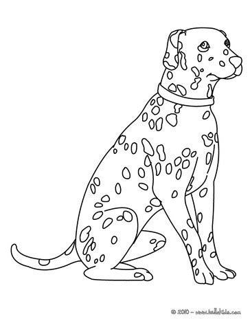 Dalmatian fire dog coloring page sparky the fire dog coloring page dog coloring pages free and printable. Dalmatian Dog Coloring Pages - Kidsuki