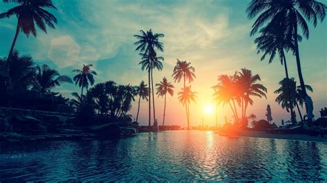 Sunrays Between Palm Trees Above Body Of Water Hd Palm Tree Wallpapers