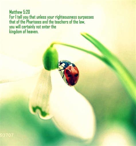 Matthew 5 20 Niv Scripture Pictures Righteousness Ladybugs Bible Scriptures Matthews