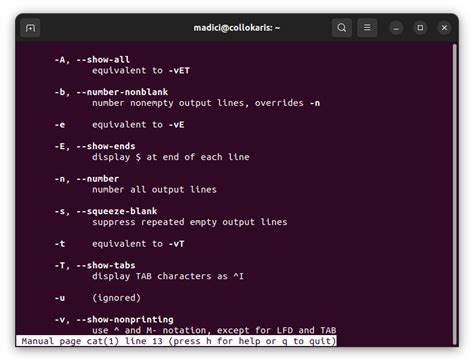 How To Use Linux Cat Commands With Examples