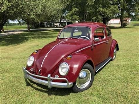 1964 Volkswagen Beetle For Sale Cc 1268814