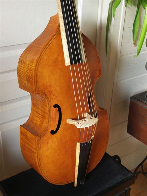 Superbe Basse De Viole 7 Cordes 7 Strings Bass Viola Da Gamba