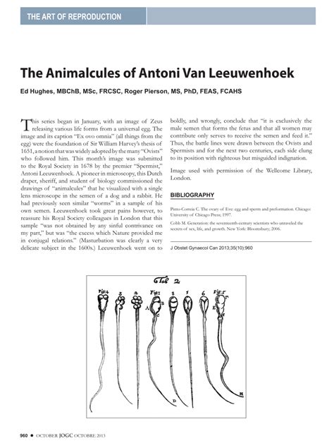 Pdf The Animalcules Of Antoni Van Leeuwenhoek