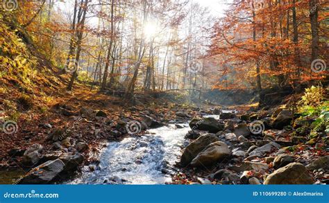 The Mountain River In Autumn Forest At Amazing Sunny Day Stock Photo