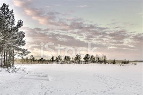 Frozen Lake In Inari Finland Stock Photo Royalty Free Freeimages